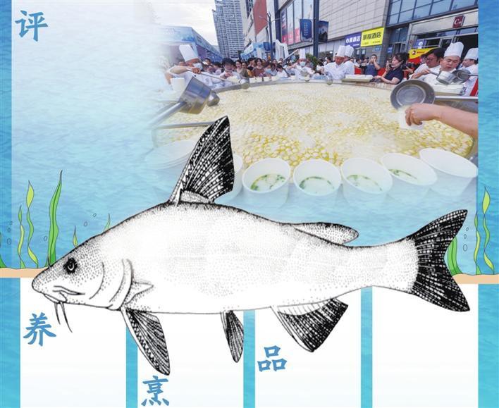 三峽龍魚店，三峽龍魚店創始人是誰 三峽龍魚店，三峽龍魚店創始人是誰 全國水族館企業名錄 第3張