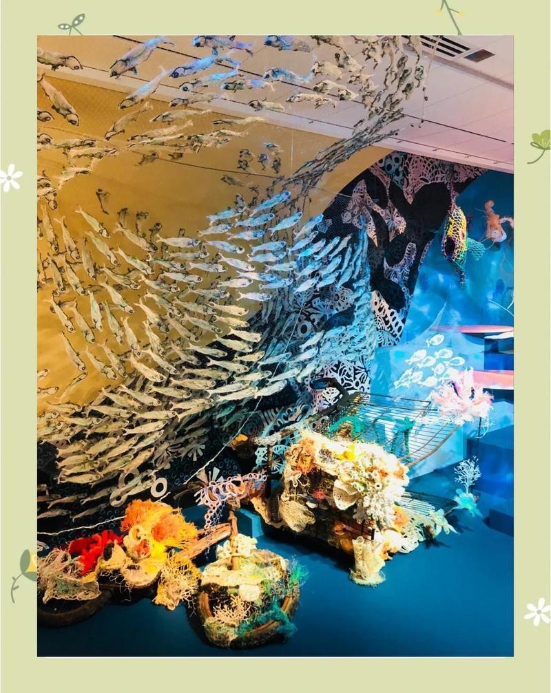 哪些工具可能間接影響海龍魚生存？，人類活動會對海洋產生什么影響