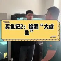 瓊結龍魚店，關于瓊結龍魚店