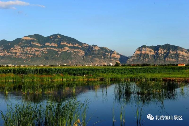 恒山龍魚店，山西唯一的“國山”:恒山龍魚店恒山龍魚店 恒山龍魚店，山西唯一的“國山”:恒山龍魚店恒山龍魚店 全國水族館企業名錄 第1張