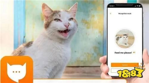 貓品種識(shí)別app，貓品種識(shí)別app有哪些pp助手識(shí)貓品種app 貓品種識(shí)別app，貓品種識(shí)別app有哪些pp助手識(shí)貓品種app 龍魚百科 第7張