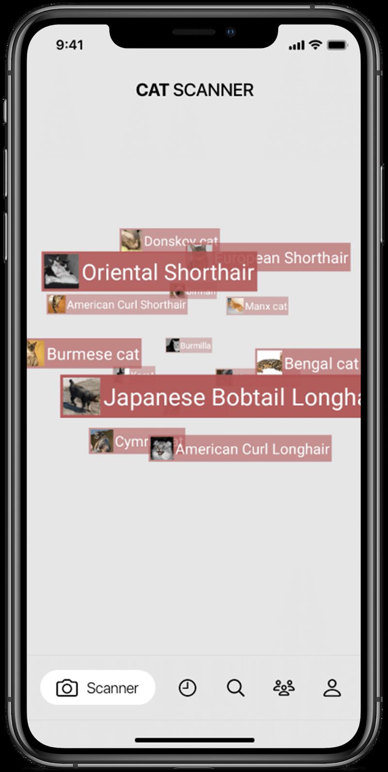 貓品種識(shí)別app，貓品種識(shí)別app有哪些pp助手識(shí)貓品種app 貓品種識(shí)別app，貓品種識(shí)別app有哪些pp助手識(shí)貓品種app 龍魚百科 第1張