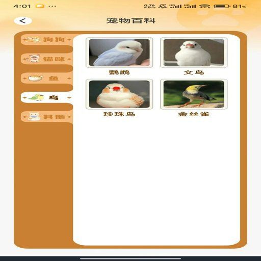 貓品種識(shí)別app，貓品種識(shí)別app有哪些pp助手識(shí)貓品種app 貓品種識(shí)別app，貓品種識(shí)別app有哪些pp助手識(shí)貓品種app 龍魚百科 第3張