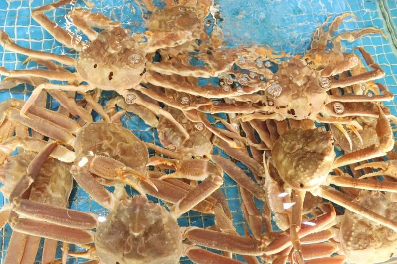 湘陰龍魚店，湖南人私藏的海鮮食堂，一口就淪陷！