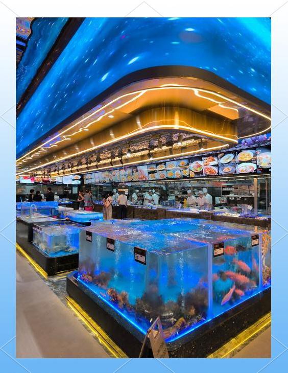 焦作水族店，焦作市主要水族店及相關場館信息整理