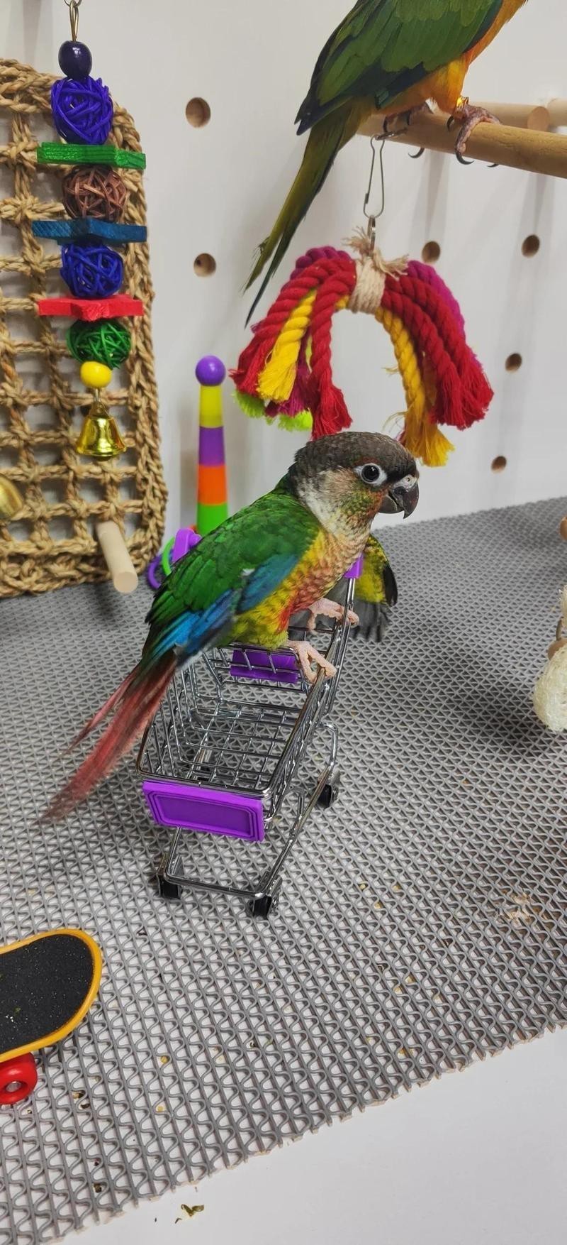 焦作水族店，焦作市主要水族店及相關場館信息整理