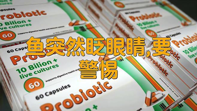 如何判斷龍魚是否患有凸眼病？，愛寵那點事，龍魚凸眼怎么辦