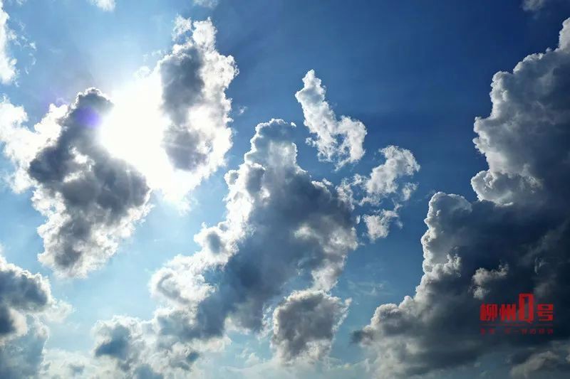 柳州水族批發市場，柳州各大批發市場全攻略 柳州水族批發市場，柳州各大批發市場全攻略 全國水族館企業名錄 第7張