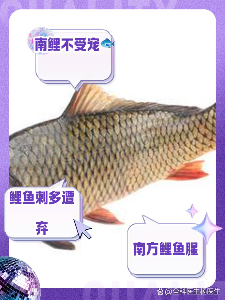 七紋巨鯉魚為何要少吃，七紋巨鯉魚為何要少吃七紋巨鯉魚被視為\