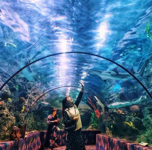 鄭州水族店，鄭州海洋水族館探秘之旅百度教育鄭州海洋館探秘之旅