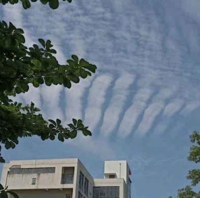 鄭州水族店，鄭州海洋水族館探秘之旅百度教育鄭州海洋館探秘之旅