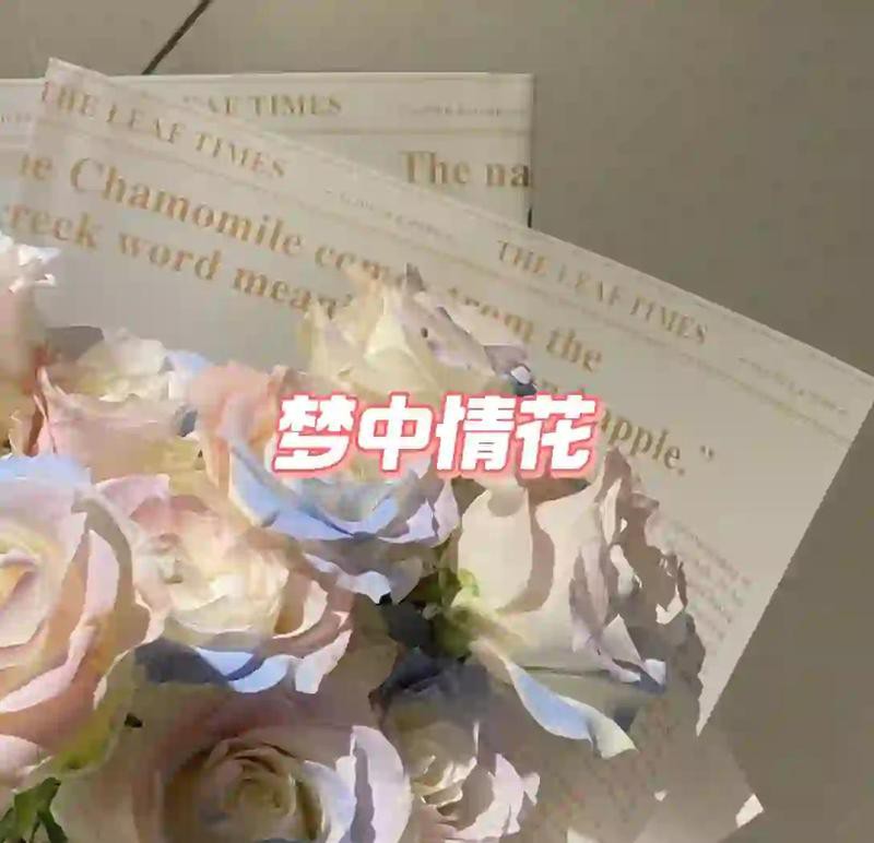 人魚姬玫瑰廉價嗎，人魚姬玫瑰永生花姬玫瑰永生花姬玫瑰永恒夢境 人魚姬玫瑰廉價嗎，人魚姬玫瑰永生花姬玫瑰永生花姬玫瑰永恒夢境 龍魚論壇 第5張