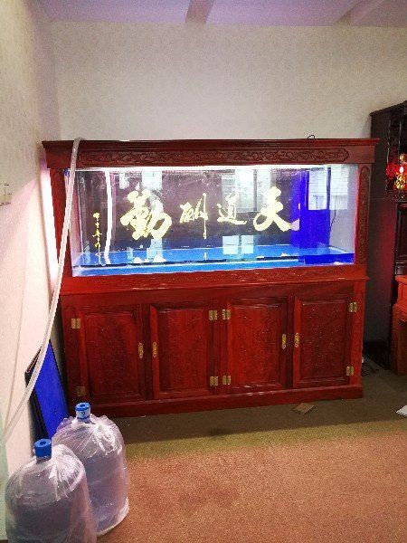 龍巖魚缸店，龍巖地區的魚缸店為當地水族愛好者提供了多樣化服務與產品