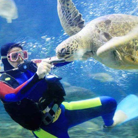 福州水族館，探秘福州左海海底