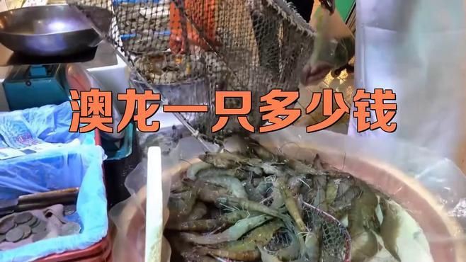 澳龍的市場價格，澳龍一只多少錢