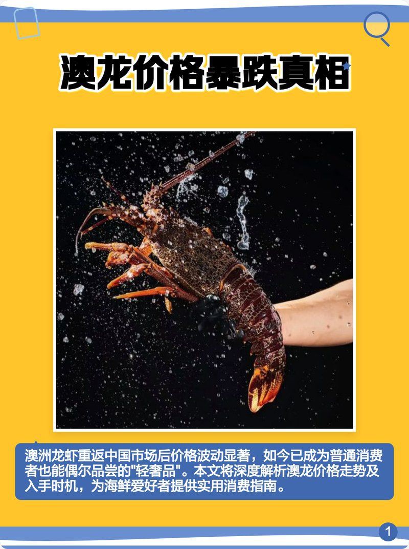 澳龍的市場(chǎng)價(jià)格，澳龍一只多少錢(qián)