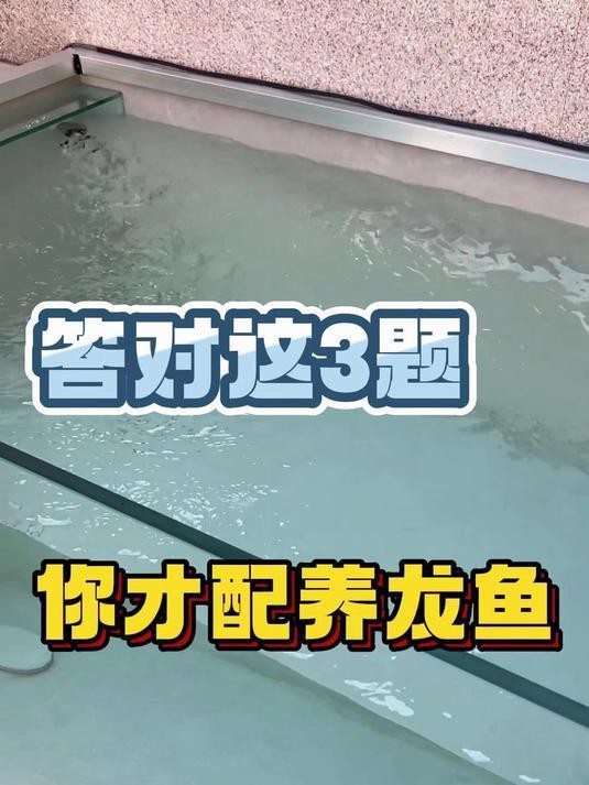 如何檢測水質(zhì)是否適合龍魚孵化？，如何檢測水質(zhì)是否適合龍魚孵化