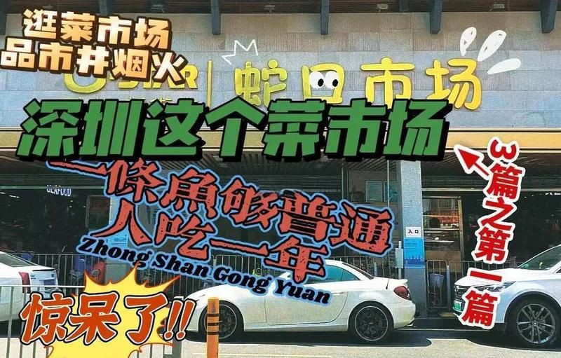 廣東人說的豬鼻子魚是什么魚，廣東人口中的“豬鼻子魚”并非特指單一物種，網友：想上岸吃草