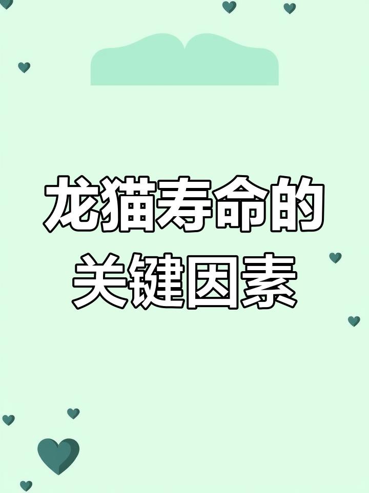 哪些因素會影響龍貓的壽命？，龍貓壽命一般多少年鴿師ai智囊匣龍貓壽命有多長