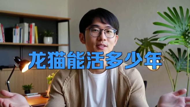 哪些因素會影響龍貓的壽命？，龍貓壽命一般多少年鴿師ai智囊匣龍貓壽命有多長