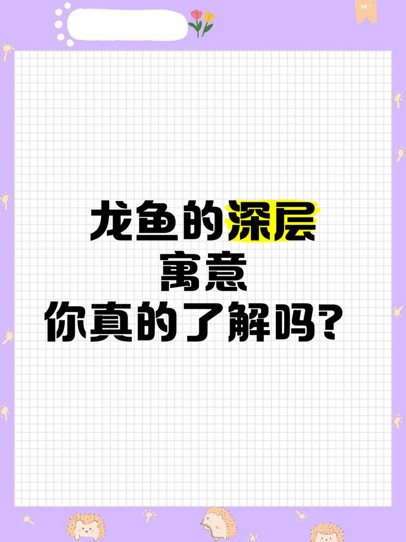 養四條龍魚的寓意是什么，\