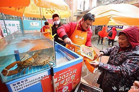 武漢魚缸店，武漢水族服務(wù)融入社區(qū)