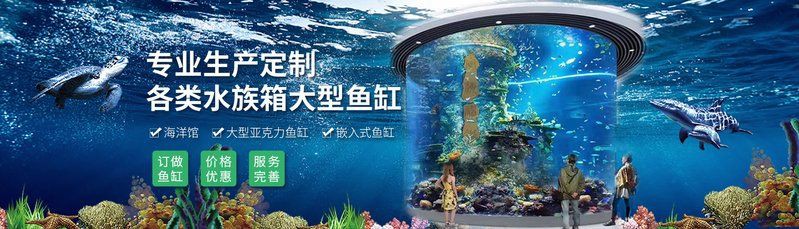 武漢魚缸店，武漢水族服務(wù)融入社區(qū)