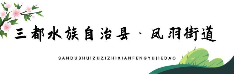 黔南布依族苗族自治州水族店，黔南布依族苗族自治州作為水族主要聚居地其水族文化及相關商業形態具有鮮明的地域特色 黔南布依族苗族自治州水族店，黔南布依族苗族自治州作為水族主要聚居地其水族文化及相關商業形態具有鮮明的地域特色 全國水族館企業名錄 第16張