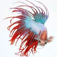 湖州魚缸定做，湖州大型魚缸定做