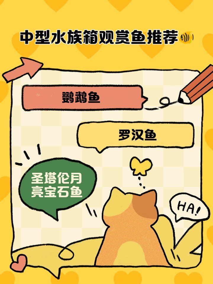 馬拉莫寶石喜歡弱酸性水質(zhì)嗎，馬拉莫寶石魚偏好弱酸性水質(zhì)ph值介于6到7之間