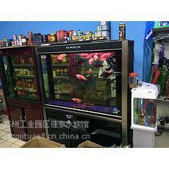 蘇州魚缸定做，蘇州大型魚缸定做-蘇州佳家水族工程有限公司