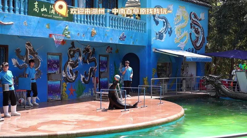 湖州水族店，湖州有哪些水族館