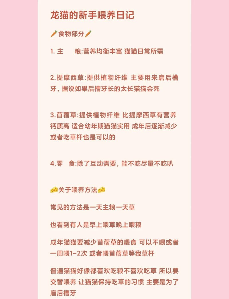 如何科學飼養龍貓？，如何科學飼養龍貓 如何科學飼養龍貓？，如何科學飼養龍貓 龍魚論壇 第4張