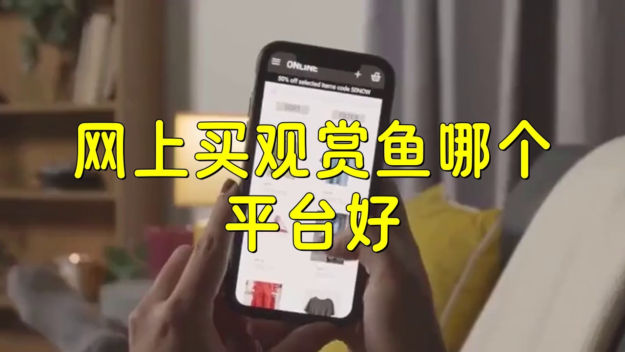 買觀賞魚在哪個(gè)平臺(tái)買比較好，網(wǎng)上買觀賞魚哪個(gè)平臺(tái)好