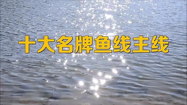 十大名牌魚線主線，2025年釣魚主線十大名牌魚線主線品牌排行榜