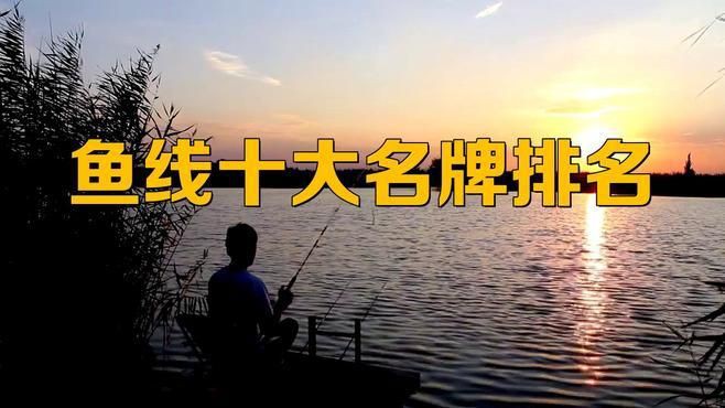 十大名牌魚線主線，2025年釣魚主線十大名牌魚線主線品牌排行榜