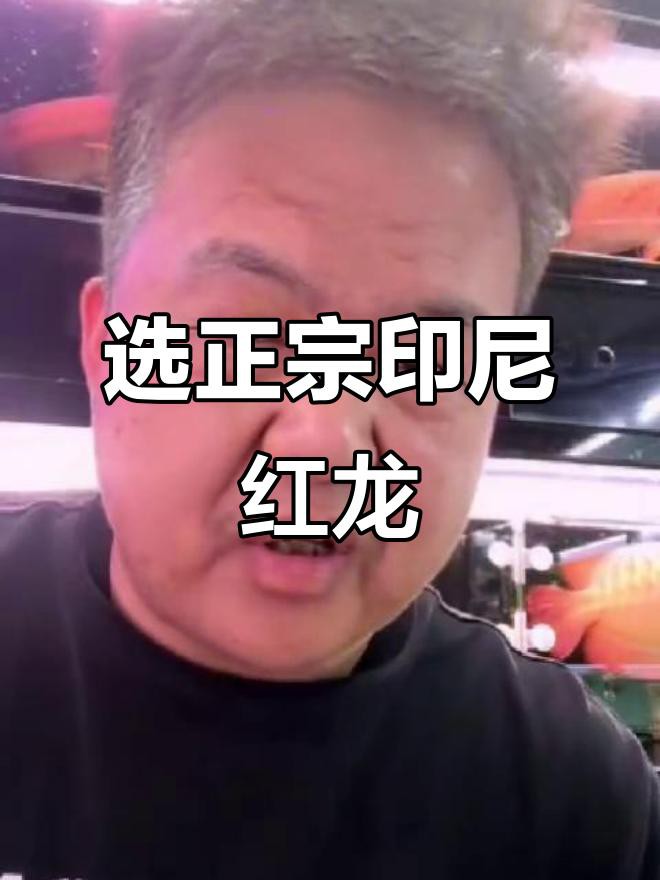 如何判斷紅龍魚的品相和血統？，23-25公分以上的純血印尼紅龍魚品種大揭秘