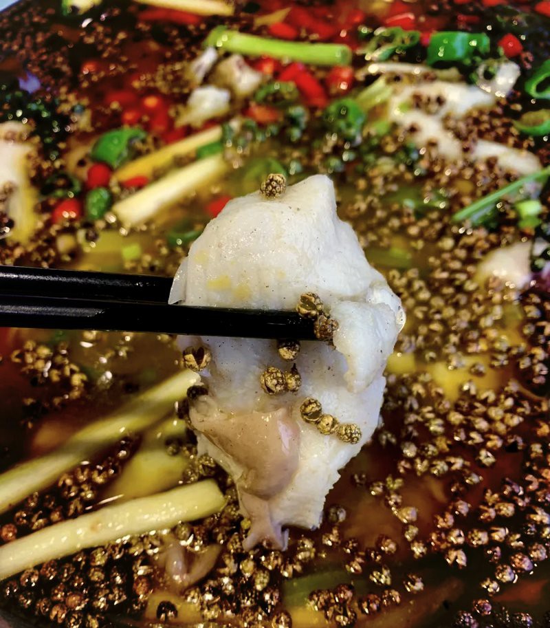 旬陽龍魚店，“江鮮第一城”桐廬狂歡開啟都市快報橙柿互動舌尖上的秦風楚韻