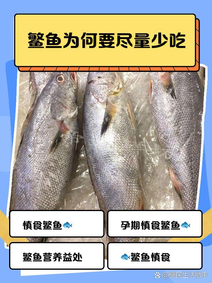 母魚為何要盡量少吃，《母魚為何要盡量少吃》
