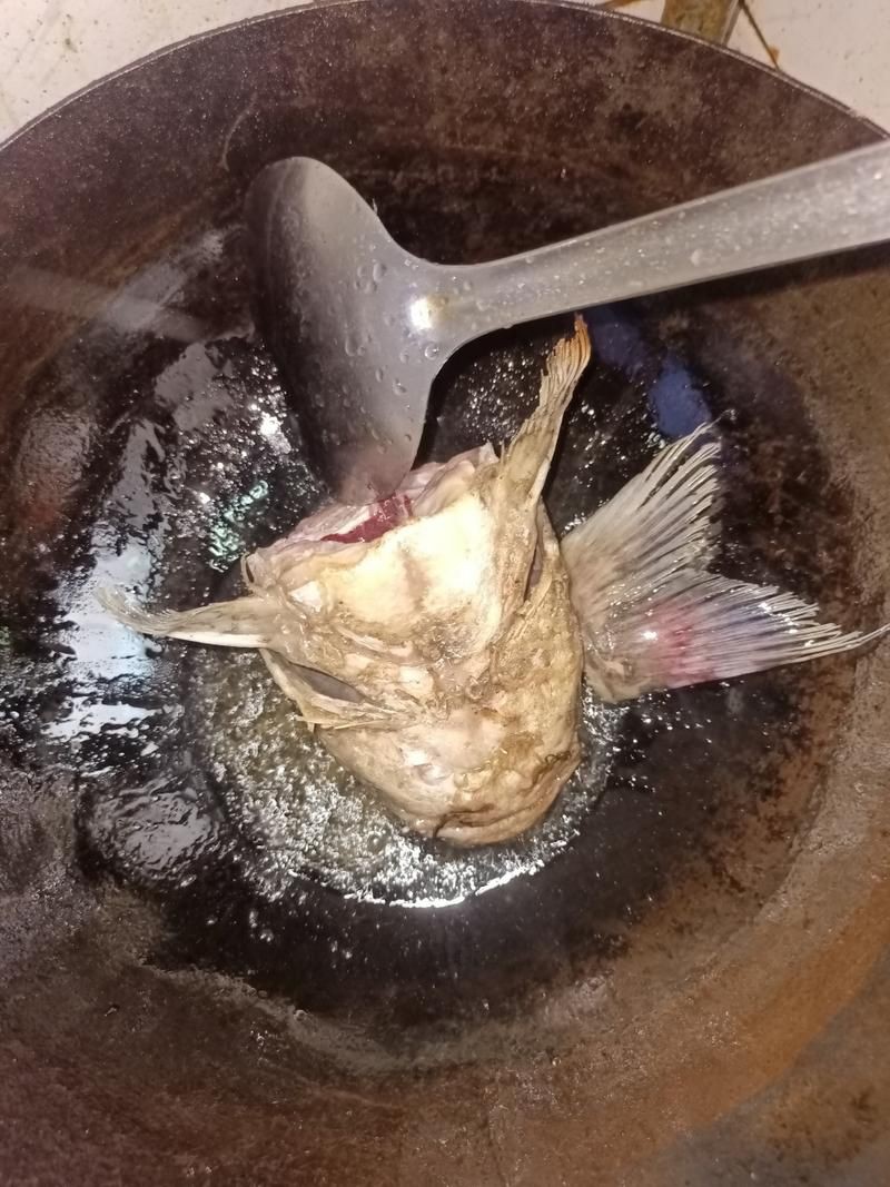 回龍魚照片，“回龍魚照片”主題聚焦于展示龍魚獨特的形態與美感 回龍魚照片，“回龍魚照片”主題聚焦于展示龍魚獨特的形態與美感 龍魚百科 第19張