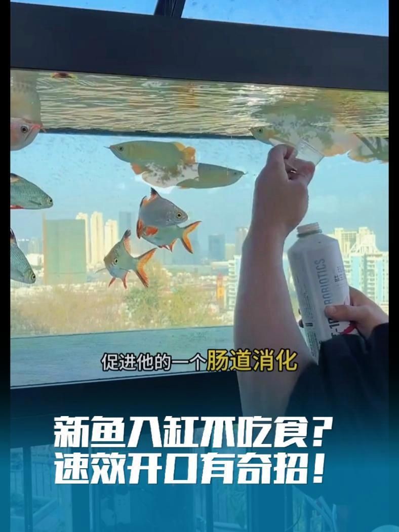 瑪豆水族產品好不好，瑪豆水族產品在專業水族領域表現突出