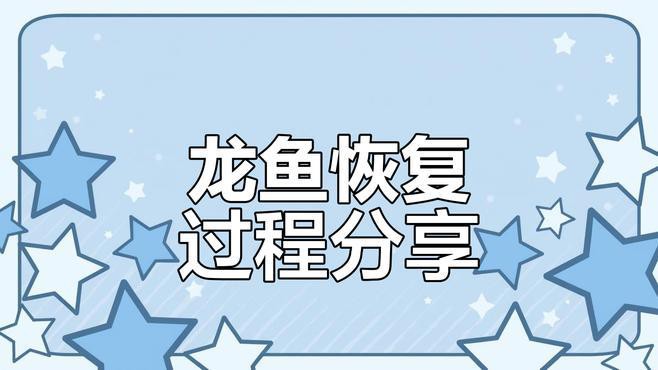 如何判斷龍魚是否進(jìn)入恢復(fù)期？，判斷龍魚是否進(jìn)入恢復(fù)期是養(yǎng)殖過(guò)程中的關(guān)鍵觀察環(huán)節(jié)