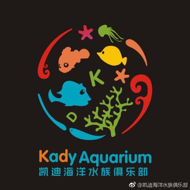 溫州水族店，溫州哪家水族店規(guī)模最大推薦