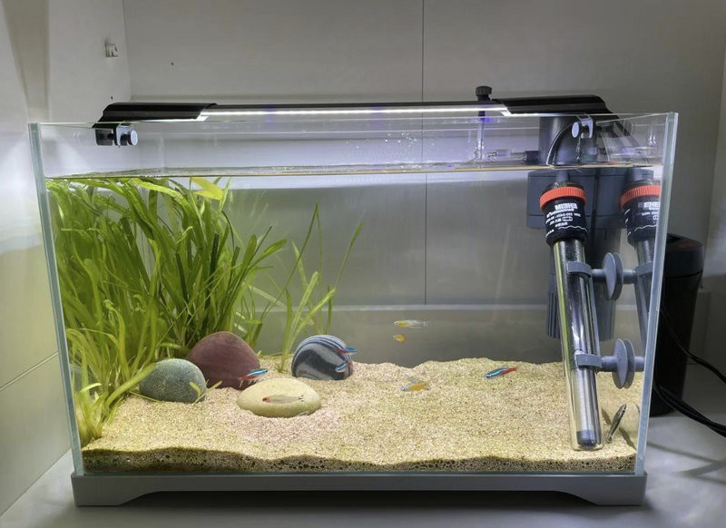 漢南水族店，武漢市漢南區東荊街樂樂水族店 漢南水族店，武漢市漢南區東荊街樂樂水族店 全國水族館企業名錄 第5張