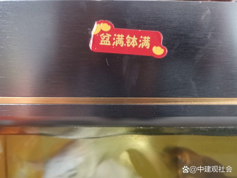 朔州魚缸店，朔州市朔城區水家水族館 朔州魚缸店，朔州市朔城區水家水族館 全國水族館企業名錄 第11張