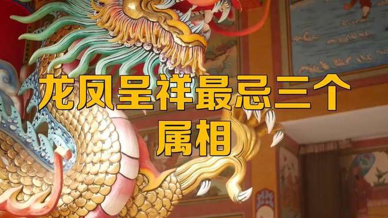 鳳凰最忌三個屬相，《鳳凰最忌三個屬相》