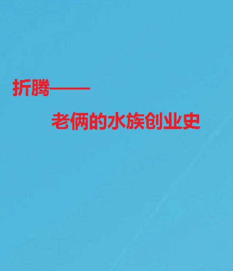 <strong><mark>古城</mark></strong>水族店，麗江<strong><mark>古城</mark></strong>區(qū)魚來魚好水族店轉(zhuǎn)型路:夫妻檔的半生闖蕩