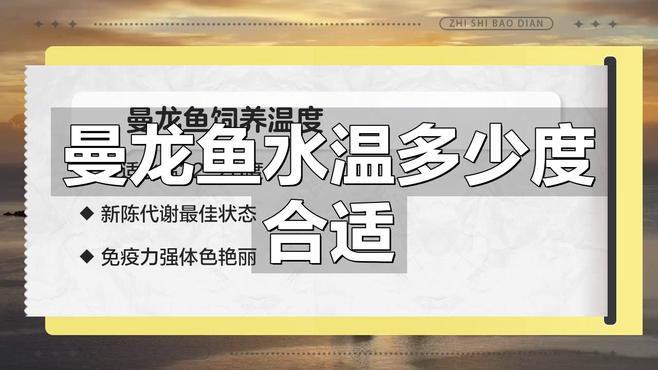 如何判斷曼龍魚是否健康？，判斷曼龍魚是否健康需綜合多方面觀察 如何判斷曼龍魚是否健康？，判斷曼龍魚是否健康需綜合多方面觀察 龍魚百科 第7張