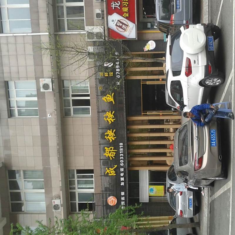 渝北龍魚店，渝北龍魚店哪家口碑最好