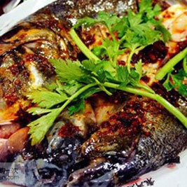 <strong><mark>渝北</mark></strong>龍魚(yú)店，<strong><mark>渝北</mark></strong>龍魚(yú)店哪家口碑最好
